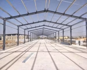 Hot Product Prefabricated Metal Barn Chicken House Customizable Cow Shed Pig Farm Steel Structure Farming