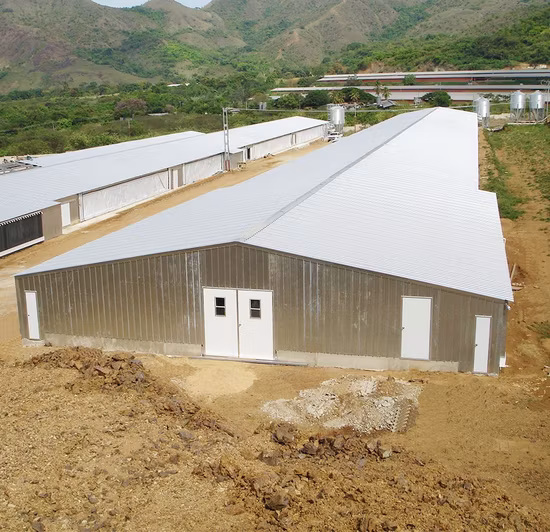 Prefabricated Light Steel Warehouse Steel Building Warehouse Shed Hangar Steel Structure