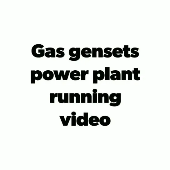 Biomass Circulating Fluidized Bed Gasifier
