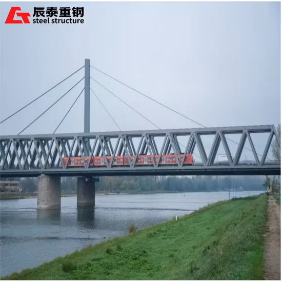 Long Span Prefabricated Steel Structure Bridge for Pedestrian