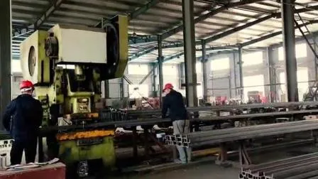 Lianggong Quick Build Prefabricated Steel Structure Bailey Bridge