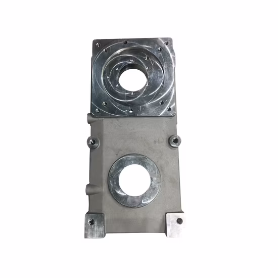 Precision Transmission Case Casting Die Cast of Vehicle Parts